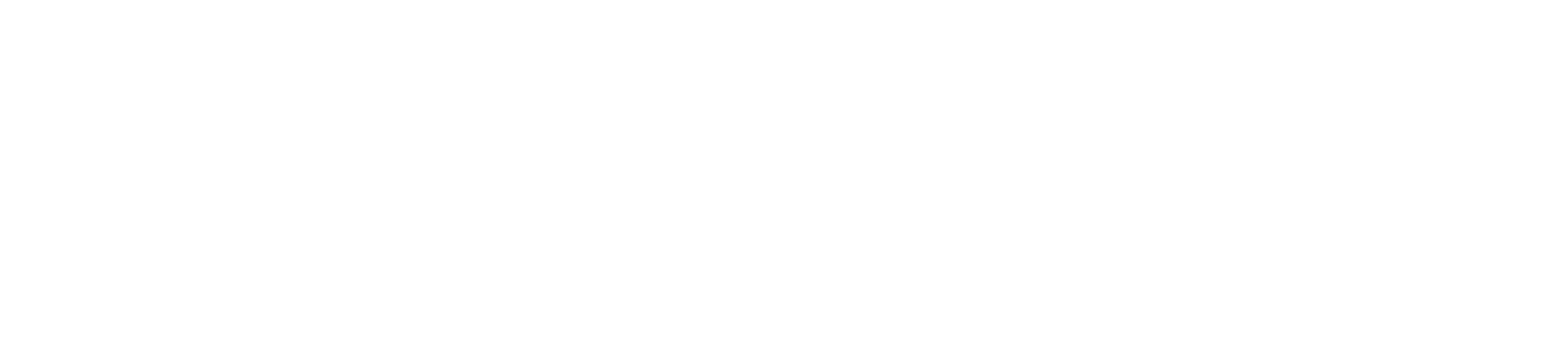 DisBridge Logo